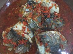 -风鑫铃罗非鱼(道沟店)