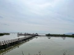 -哈素海