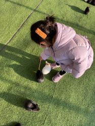 -萌宠亲子动物乐园(槐房万达店)