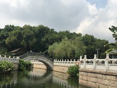 -荔湾湖公园
