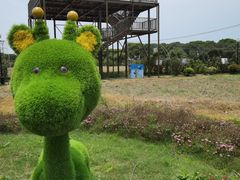 -苏州太湖西山岛开心农场