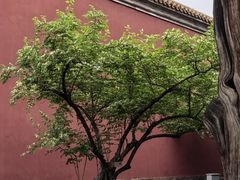 -北京市劳动人民文化宫(太庙)