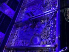 -韩盛·盛江山自助料理(奥体万达店)