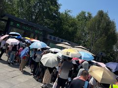 -秦始皇帝陵博物院-丽山园