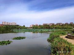 -前关湿地公园