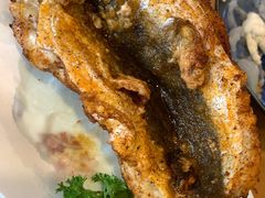 -天正河鲀·河豚亭(大连店)