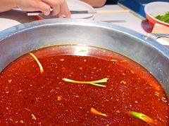 -蜀滋香鲜鱼美蛙火锅(339店)