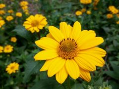 -贵阳市花溪国家城市湿地公园