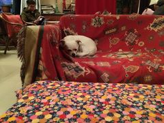 -哈尔滨北方国际青年旅舍(中央大街店)