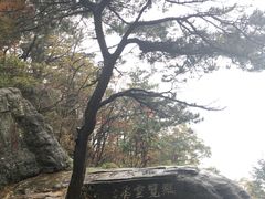 -庐山风景区花径公园