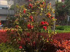 -光启城时尚购物中心