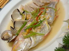 -金成潮菜博物馆(海珠湿地店)