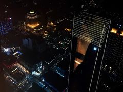 景观位-顶鲜101美食美景餐厅