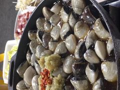 -顺德哥卜卜贝(旗舰店)