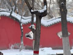 -水磨沟公园