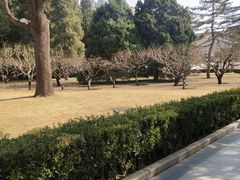 -团结湖公园