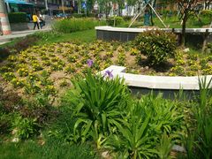 -锡师附小学(学前街校区)