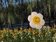 -长白岛森林公园