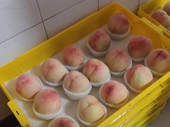 -老袁家蜜桃农场·阳山水蜜桃