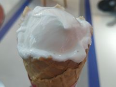 -蜜雪冰城·冰淇淋与茶(长郡中学店)