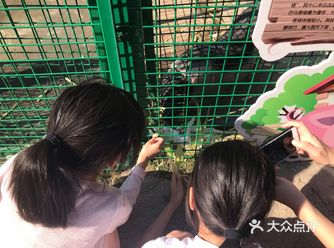 亲子酒店，相当适合遛娃