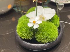 -沈灶河豚宴·河豚融合餐厅(汉中路店)