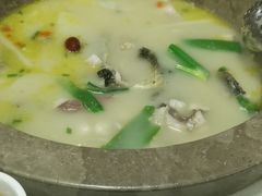 -七采菌园·野生菌石锅鱼(环城北路店)