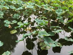 -杭州西湖桔子水晶酒店