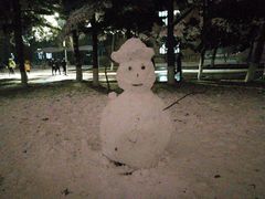 -东北大学(南湖校区)
