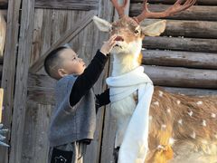 -HERRE·FARM 赫尔露营农场·团建聚会包场