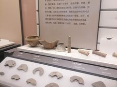 -四川大学博物馆