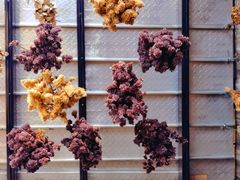 -旧雨咖啡·CoffeeFORU(黄村奥体店)