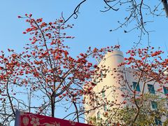 -攀枝花公园