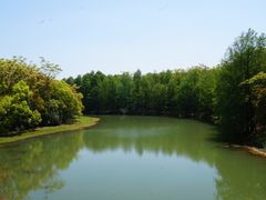 -上海海湾国家森林公园