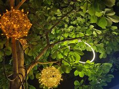 -春晖园度假酒店温泉