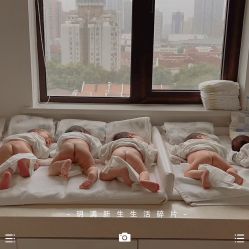 -海豚湾高端月子会所(黄浦店)