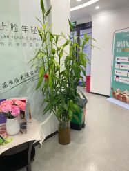 -联合丽格·张菡丽格医疗美容