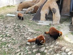 -临沂动植物园