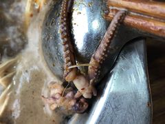 八爪鱼-傣妹火锅(狮子桥店)