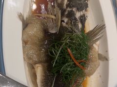 -红棉中餐厅·广州海航威斯汀酒店