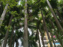 -竹子林(地铁站)