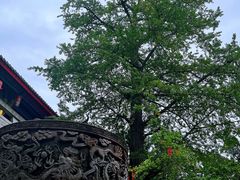 -金堂县云顶石城风景区