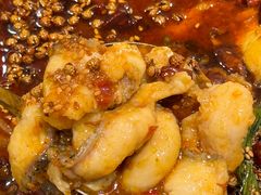 -胖子鱼·天水麻辣鱼火锅(秦州407店)