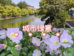 -美兰湖景区