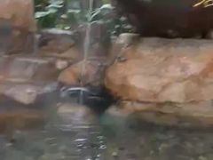 -厦门日月谷温泉渡假村