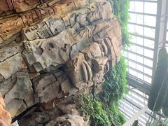 -龙达温泉生态城