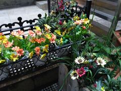 -猫姑娘大盘鸡(商城路店)