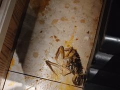 -川骄海鲜自助(河东店)