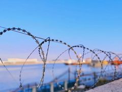 -上海吴淞炮台湾国家湿地公园
