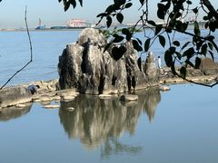 -上海吴淞炮台湾国家湿地公园